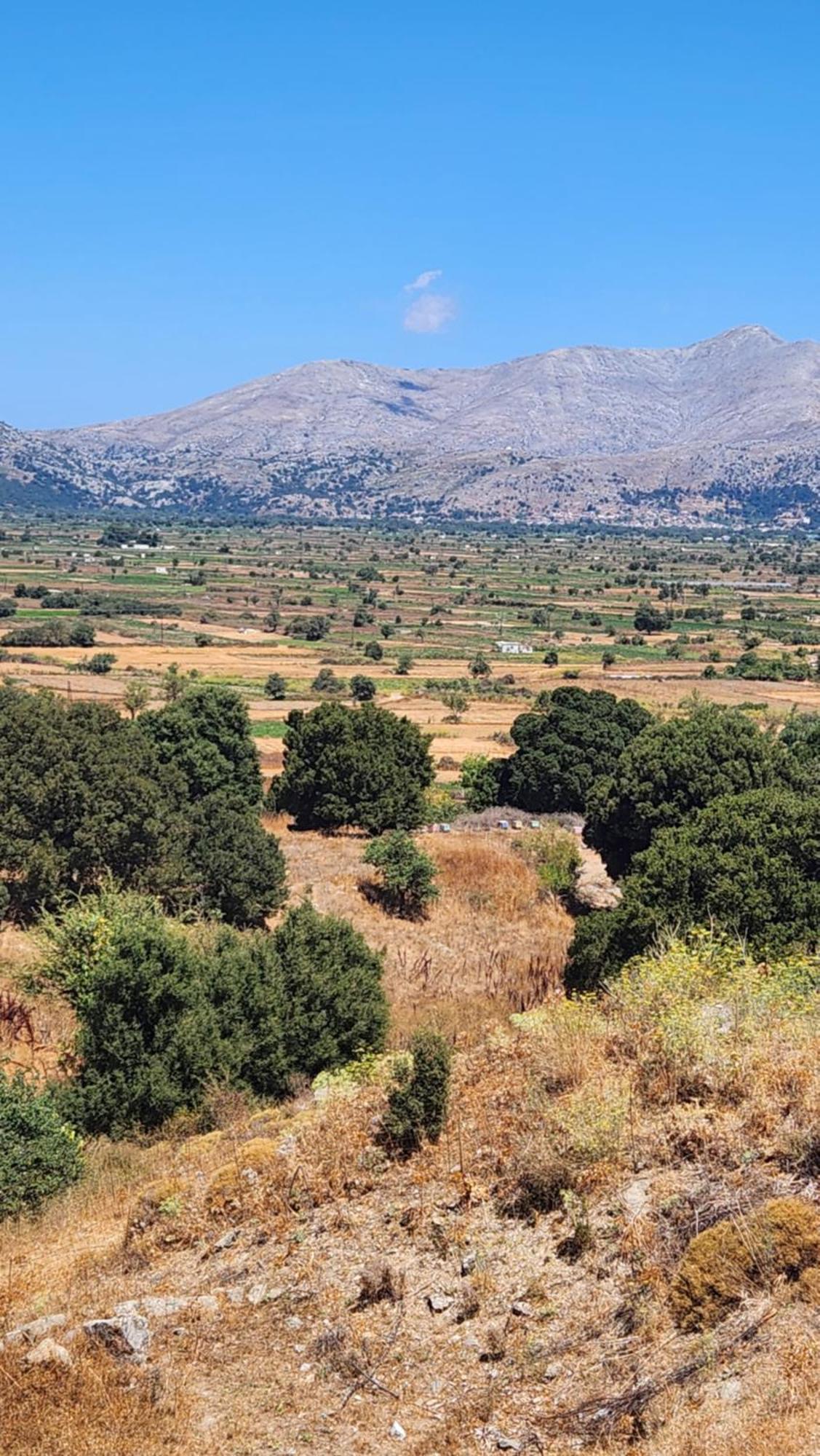 Magoulás Dionysus Lasithi Plateau מראה חיצוני תמונה